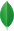 techImg
