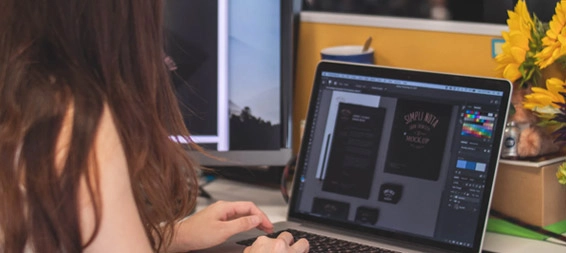Web & theme design